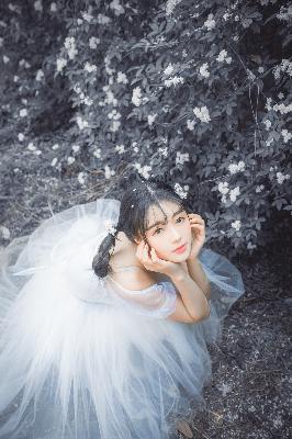 临江仙电视剧在线观看全集